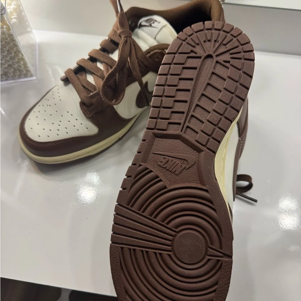 Women’s 8 Brown Nike Dunks
